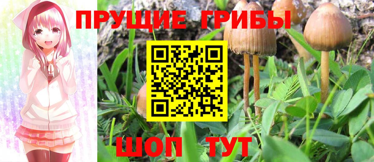 Псилоцибиновые грибы MAGIC MUSHROOMS Киселёвск