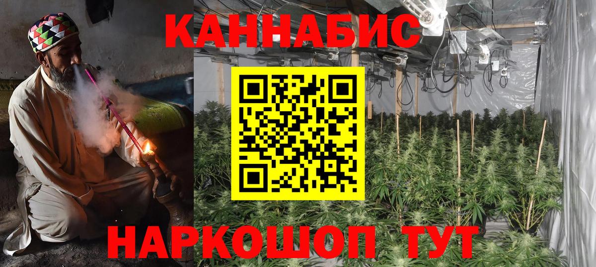 Бошки марихуана марихуана Киселёвск